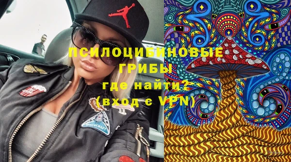 сатива Магадан