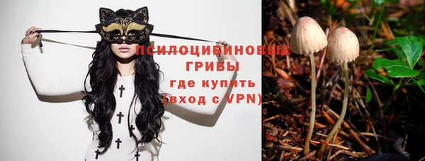 спайс Майский