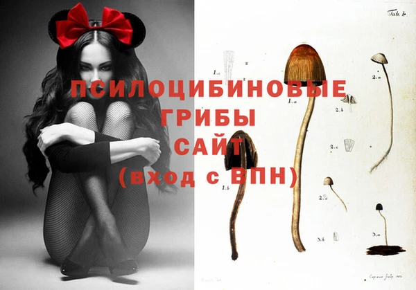 сатива Магадан