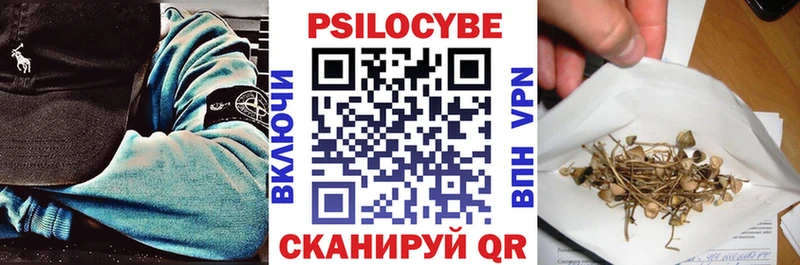 Псилоцибиновые грибы Psilocybine cubensis  Купить где  Павлово 